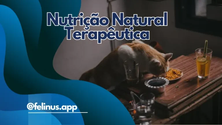 1749437674637-04Nutricao-Natural-Terapeutica.webp