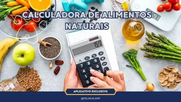 Dietas-20-Melhores-Alimentos-para-Gatos-e-Seus-Beneficios-e-Funcionais-1-1-1.webp
