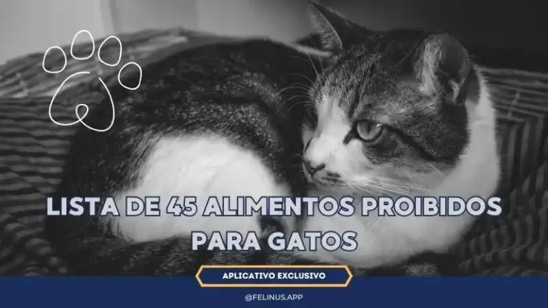 Dietas-Naturais-e-Funcionais-2_11zon_11zon.webp